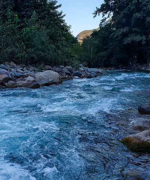 تعبیر خواب آب حضرت یوسف تعبیر خواب آب زیاد تعبیر خواب آب گرفتگی خانه ابن سیرین تعبیر خواب آب امام صادق تعبیر خواب آب در خانه تعبیر خواب آب زیاد و سیل تعبیر خواب آب زلال و شفاف تعبیر خواب آب زلال امام صادق