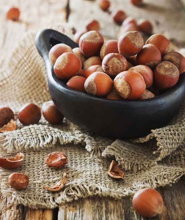 تعبیر خواب فندق هدیه گرفتن تعبیر خواب فندق نی نی سایت تعبیر خواب فندق برای زن باردار تعبیر خواب خوردن مغز فندق تعبیر خواب کاشتن فندق تعبیر خواب درخت فندق تازه تعبیر خواب چیدن فندق از درخت تعبیر خواب فندق بزرگ