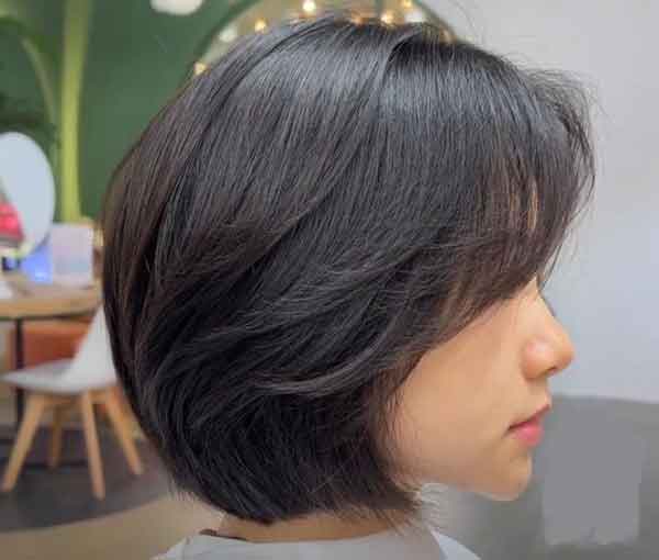 مدل مو جدید زنانه و کوتاهی و مجلسی و زیباترین مدل