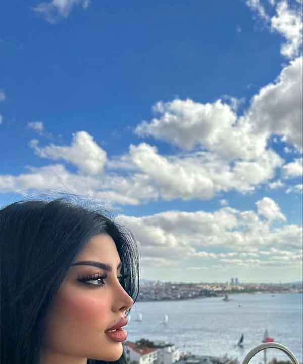 مدل آرایش صورت ملایم مجلسی و جدید ساده اما شیک