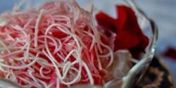 تعبیر خواب فالوده ابن سیرین و فالوده و بستنی نذری و یخمک خوردن