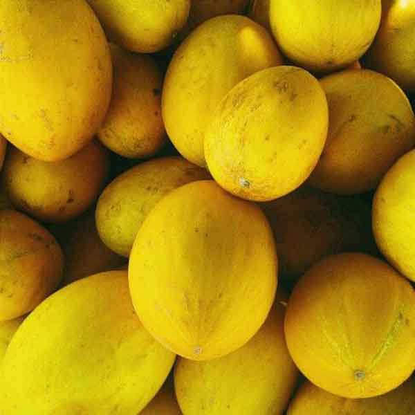تعبیر خواب خربزه گرفتن از دیگران تعبیر خواب خربزه برای دختر مجرد تعبیر خواب خربزه قاچ شده تعبیر خواب خربزه نی نی سایت تعبیر خواب خربزه و جنسیت جنین تعبیر خواب خوردن خربزه تعبیر خواب خربزه خیلی بزرگ تعبیر خواب خربزه دادن به مهمان