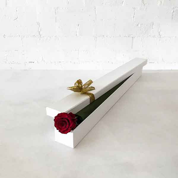 تزیین گل رز تک شاخه با کنف و روبان برای هدیه