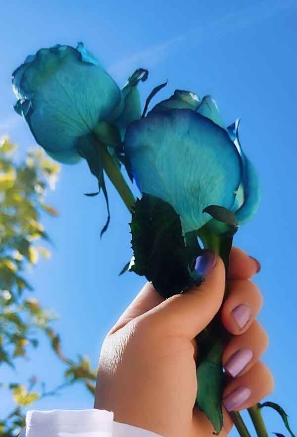 تزیین گل رز تک شاخه با کنف و روبان برای هدیه