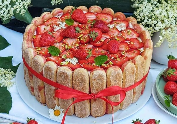 تزیین تیرامیسو زیبا خوشمزه با مدل های جدید مجلسی و خوشگل