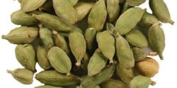 تعبیر خواب هل ابن سیرین و منوچهر مطیعی و هل سبز خریدن و زعفران