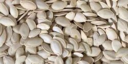 تعبیر خواب تخمه کدو ابن سیرین و امام صادق و تخمه کدو خریدن و خوردن