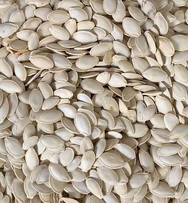 تعبیر خواب تخمه کدو خوردن تعبیر خواب تخمه سفید امام صادق تعبیر خواب تخمه کدو تنبل تعبیر خواب تخمه کدو سفید تعبیر خواب تخمه کدو نی نی سایت تعبیر خواب تخمه شکستن تعبیر خواب تخمه آفتابگردان امام صادق تعبیر خواب تخمه سفید خوردن