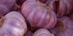 تعبیر خواب سیر ابن سیرین و حضرت یوسف و ابن سیرین و سیر ترشی
