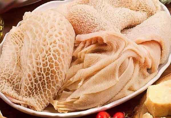 تعبیر خواب سیرابی حضرت یوسف تعبیر خواب سیرابی پخته تعبیر خواب سیرابی برای دختر مجرد تعبیر خواب سیرابی امام جعفر صادق تعبیر خواب سیرابی خام تعبیر خواب شکمبه گوسفندی تعبیر خواب سیرابی و کله پاچه تعبیر خواب سیرابی خوردن مرده