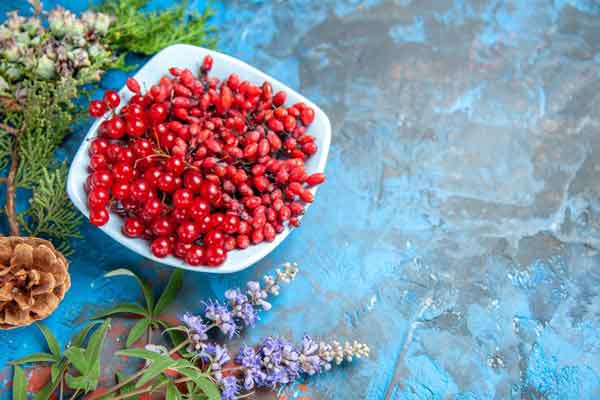 تعبیر خواب زرشک هدیه گرفتن تعبیر خواب زرشک قرمز تعبیر خواب زرشک خشک شده تعبیر خواب زرشک تازه تعبیر خواب آب زرشک در خواب تعبیر خواب زرشک پلو تعبیر خواب زرشک نی نی سایت تعبیر خواب زرشک شیرین