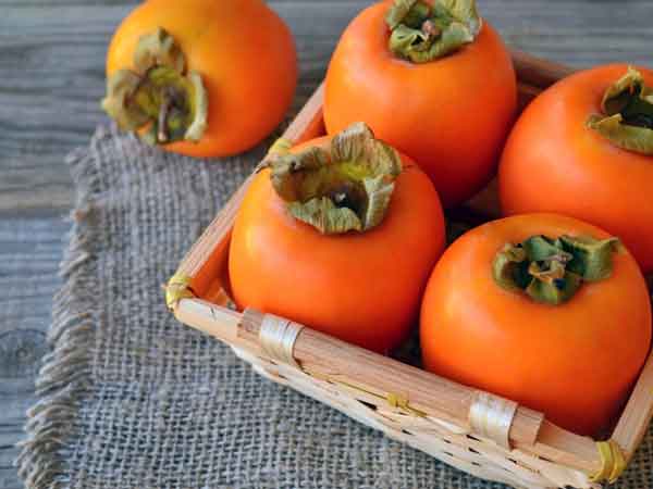 تعبیر خواب درخت خرمالو امام صادق تعبیر خواب خرمالو خوردن تعبیر خواب خرمالو نی نی سایت تعبیر خواب خرمالو بزرگ تعبیر خواب خرمالو رسیده تعبیر خواب خرمالو چیدن از درخت درخت خرمالو نماد چیست تعبیر خواب خرمالو کال