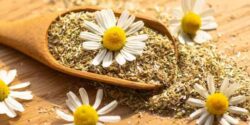 تعبیر خواب بابونه ابن سیرین و گل بابونه خشک برای دختر مجرد و دشت پر از گل بابونه