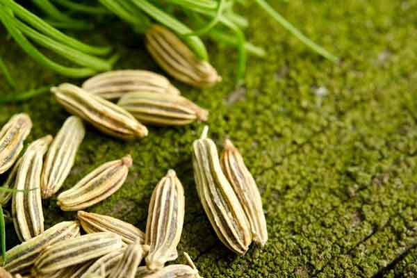 خواص رازیانه برای رحم و تخمدان خواص عرق رازیانه برای اندام زنان خواص رازیانه برای اندام خصوصی زنان خواص رازیانه برای لاغری شکم خواص رازیانه برای زنان یائسه بهترین زمان مصرف رازیانه؟ قاعدگی خواص رازیانه برای زنان خواص رازیانه برای چاقی صورت