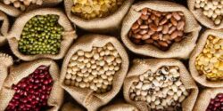 تعبیر خواب لوبیا ابن سیرین و امام صادق و حضرت یوسف و منوچهر مطیعی و لوبیا چیتی