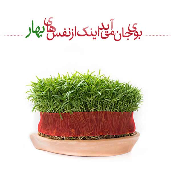 عکس پروفایل عیدت مبارک با ایده های جدید زیبا و شیک که جایی ندید