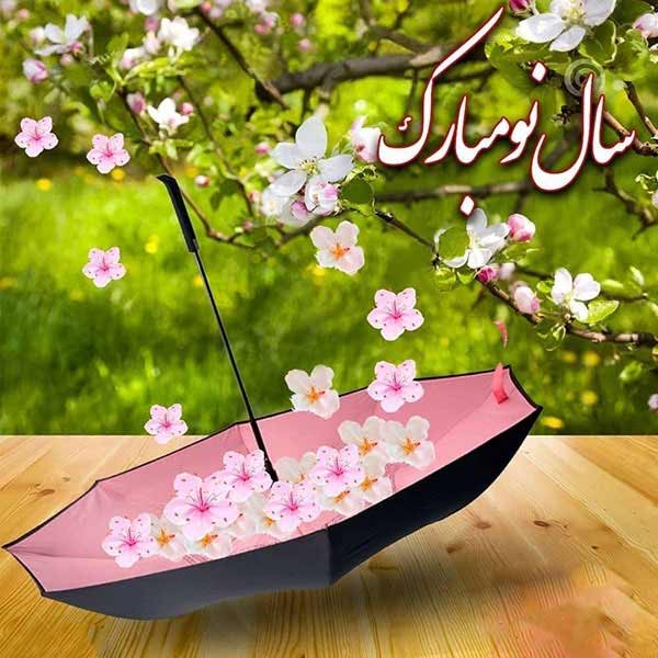 عکس پروفایل عیدت مبارک با ایده های جدید زیبا و شیک که جایی ندید
