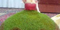مدل سبزه عید ساده زیبا خلاقانه و فانتزی با مدل هایی که جایی ندیده اید