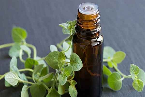 بهترین زمان خوردن آویشن برای لاغری آویشن و لاغری شکم خواص آویشن برای مردان مضرات آویشن برای کبد خواص آویشن با نبات خواص آویشن برای سرماخوردگی خواص آویشن برای رحم دمنوش آویشن و دارچین برای لاغری