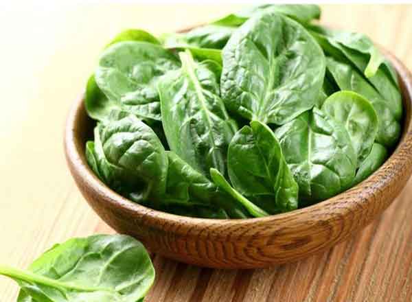 خواص اسفناج برای مردان خواص اسفناج پخته طریقه مصرف اسفناج اسفناج پخته یا خام خواص اسفناج در طب سنتی خواص اسفناج و تخم مرغ مضرات اسفناج اسفناج نفخ دارد نی نی سایت