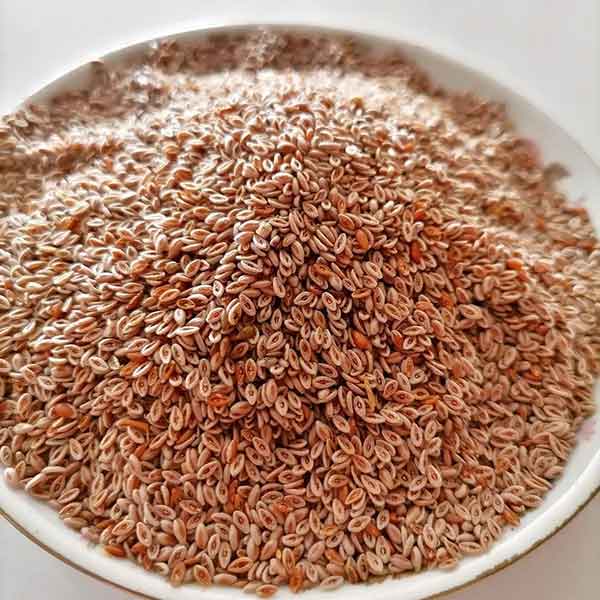 خواص اسفرزه دکتر خیراندیش معجزه اسفرزه خواص اسفرزه و خاکشیر بهترین زمان مصرف اسفرزه طریقه مصرف اسفرزه برای یبوست زمان مصرف اسفرزه برای یبوست خواص اسفرزه برای پوست صورت خواص اسفرزه برای رحم