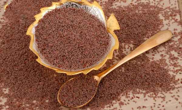 خواص اسفرزه دکتر خیراندیش طریقه مصرف اسفرزه برای یبوست خواص اسفرزه برای عفونت خواص اسفرزه برای کبد نام دیگر اسفرزه چیست بهترین زمان مصرف اسفرزه طریقه مصرف اسفرزه برای لاغری عوارض اسفرزه