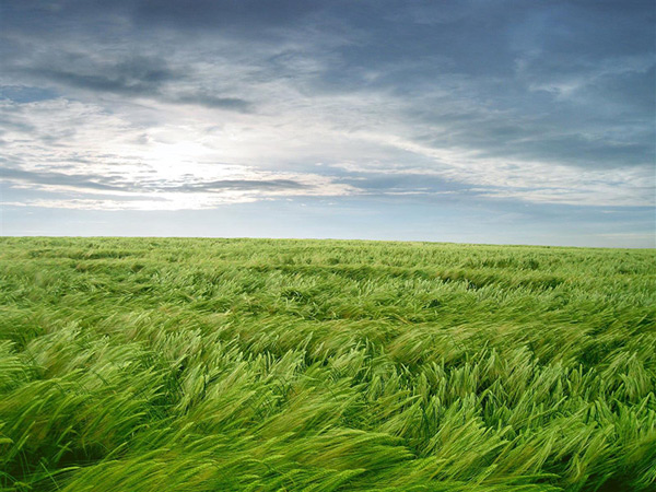 تعبیر خواب باد شدید حضرت یوسف تعبیر خواب باد شدید همراه با خاک تعبیر خواب باد برای دختر مجرد تعبیر خواب باد بردن وسایل تعبیر خواب باد شدید در خانه تعبیر خواب باد شدید امام صادق تعبیر خواب باد شدید پشت پنجره تعبیر خواب باد شدید نی نی سایت