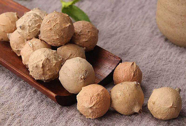 تعبیر میوه بلوط دیدن مار در خواب