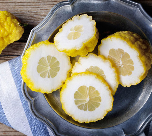 تعبیر خواب چیدن ترنج از درخت تعبیر خواب نارنج کندن از درخت تعبیر خواب درخت نارنج حضرت یوسف