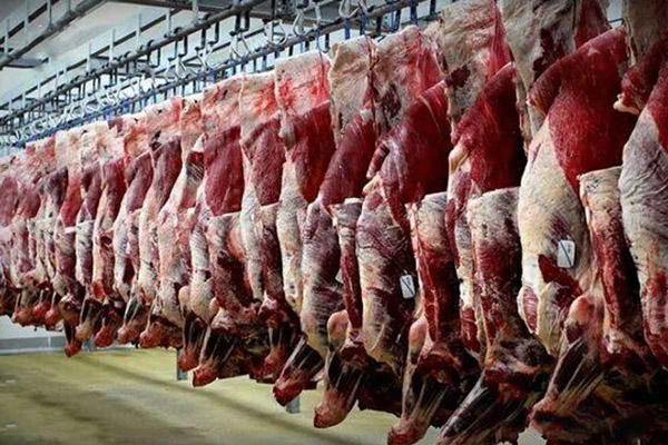 تعبیر خواب خوک حضرت یوسف تعبیر خواب گوشت خوک امام صادق تعبیر خواب خوک برای دختر مجرد تعبیر خواب گوشت خوک حضرت یوسف تعبیر خواب خوک سیاه امام صادق تعبیر خواب خوک مرده تعبیر خواب خوک صورتی امام صادق تعبیر خواب خوک قهوه ای