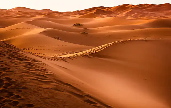 تعبیر خواب بیابان چیست برای زن متاهل و باردار و دختر مجرد از روانشناسی