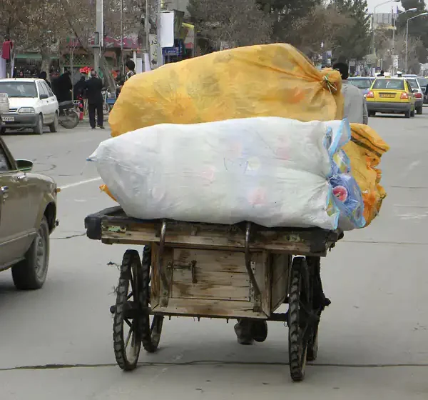 تعبیر خواب گاری در خواب برای زن متاهل و باردار و دختر مجرد از روانشناسی