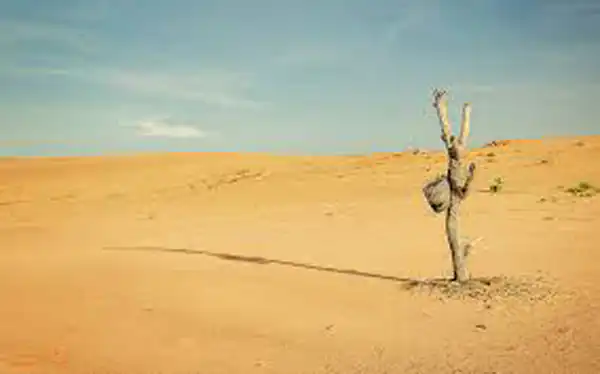 تعبیر خواب صحرا دیدن برای زن متاهل و باردار و دختر مجرد از روانشناسی