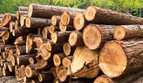 تعبیر خواب الوار برای زن متاهل و باردار و دختر مجرد از روانشناسی