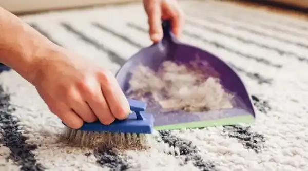 تعبیر خواب آشغال روی فرش برای زن متاهل و باردار و دختر مجرد از روانشناسی