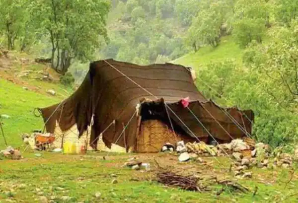 تعبیر خواب چادر عشایر برای زن متاهل و باردار و دختر مجرد از روانشناسی