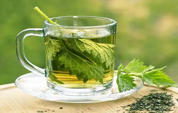 تعبیر خواب دمنوش نعناع برای زن متاهل و باردار و دختر مجرد از روانشناسی