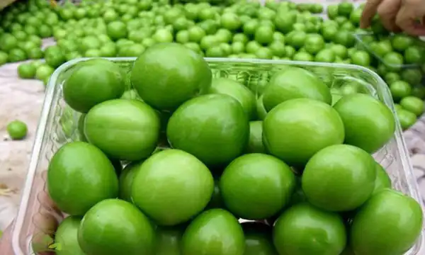 تعبیر خواب گوجه سبز ترش برای زن متاهل و باردار و دختر مجرد از روانشناسی