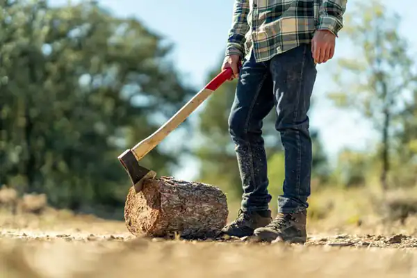تعبیر خواب هیزم شکن برای زن متاهل و باردار و دختر مجرد از روانشناسی