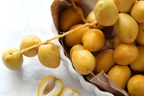 تعبیر خواب خارک شیرین برای زن متاهل و باردار و دختر مجرد از روانشناسی