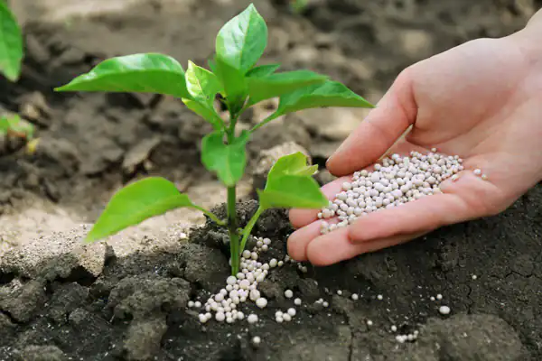 تعبیر خواب کود شیمیایی برای زن متاهل و باردار و دختر مجرد از روانشناسی