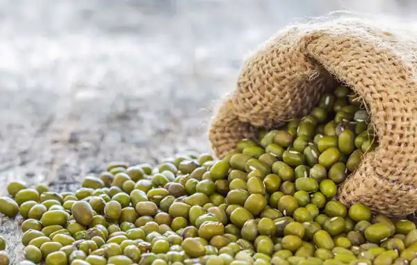 تعبیر خواب ماش و عدس برای زن متاهل و باردار و دختر مجرد از روانشناسی