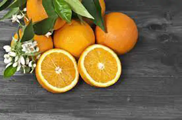 تعبیر خواب نارنج از نظر امام صادق (ع) برای زن متاهل و باردار و دختر مجرد از روانشناسی