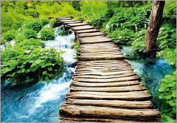 تعبیر خواب پل روی رودخانه برای زن متاهل و باردار و دختر مجرد از روانشناسی
