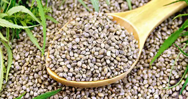 تعبیر خواب شاهدانه در خواب برای زن متاهل و باردار و دختر مجرد از روانشناسی