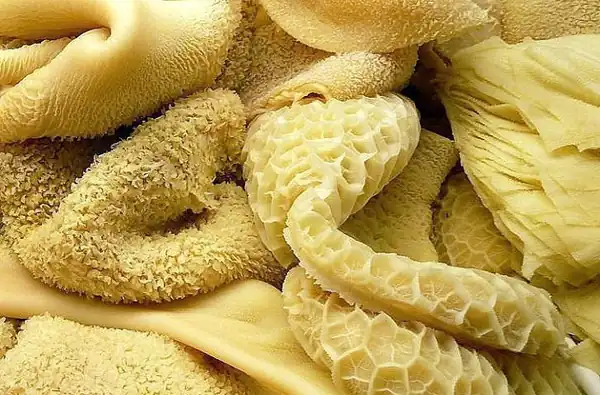 دیدن سیرابی خام در خواب برای زن متاهل و باردار و دختر مجرد از روانشناسی