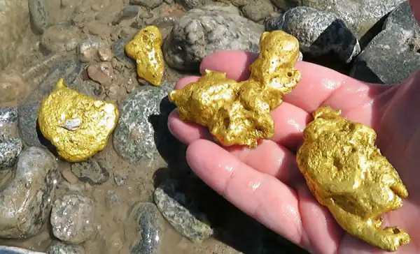 تعبیر خواب یافتن گنج برای زن متاهل و باردار و دختر مجرد از روانشناسی