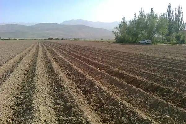 تعبیر خواب زمین کشاورزی خشک برای زن متاهل و باردار و دختر مجرد از روانشناسی