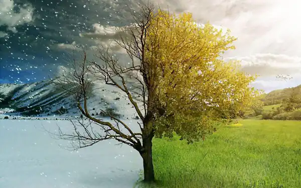تعبیر خواب تابستان در زمستان برای زن متاهل و باردار و دختر مجرد از روانشناسی