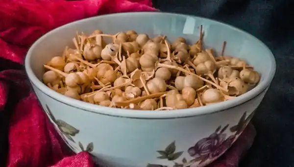 تعبیر خواب اسپند خام برای زن متاهل و باردار و دختر مجرد از روانشناسی